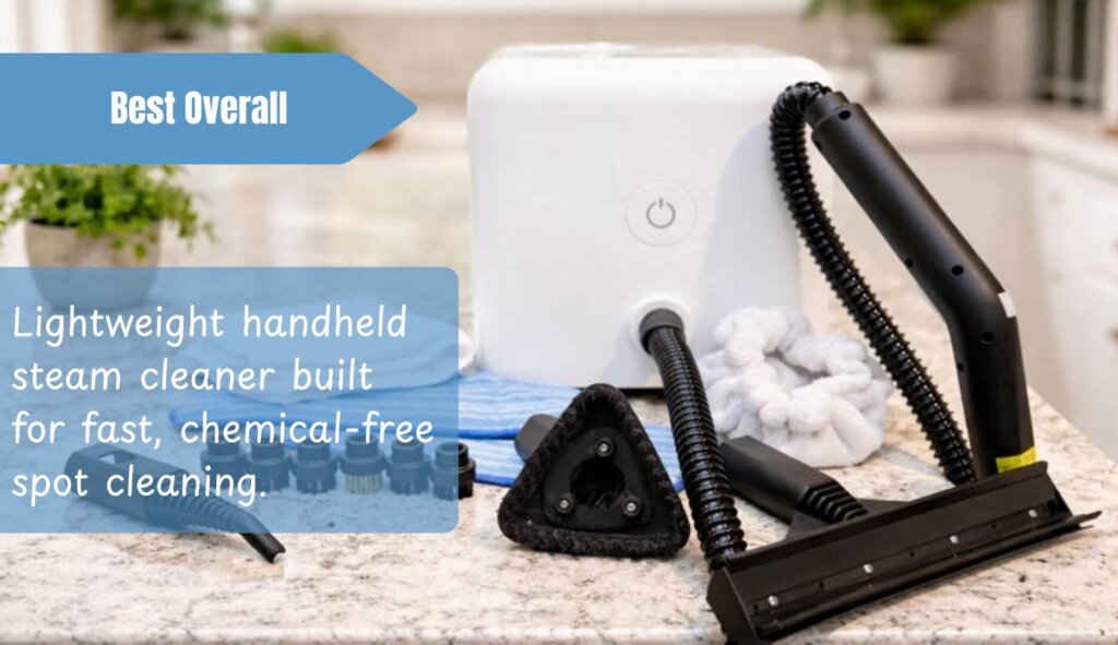 Dupray Neat Steam Cleaner Best Overall